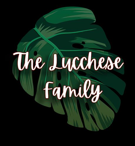 The Lucchese Family